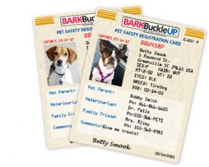 bark buckle up