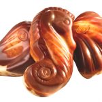 three shell image Hi-Res three shell image Hi-Res