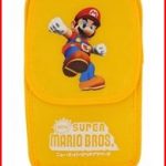 mario dsi case