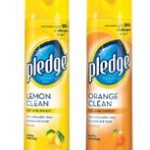 pledge
