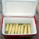 corn on the cob cooler corn on the cob cooler