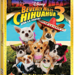 BeverlyHillsChihuahua3