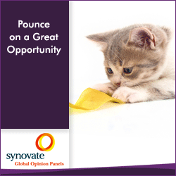 Are You a Cat Owner or a Lover of Cats? This Hot offer is for you!