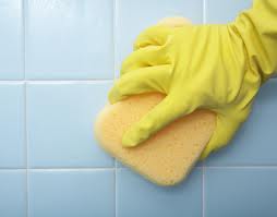 Shower Cleaning Tip