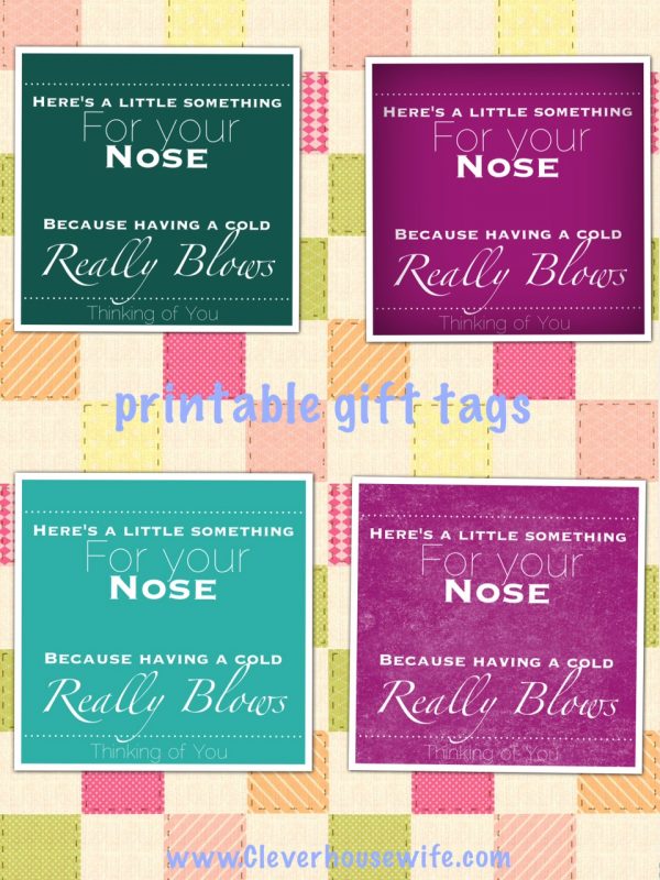 Easy Get Well Soon Gift with Free Printable Gift Tag - Clever Housewife