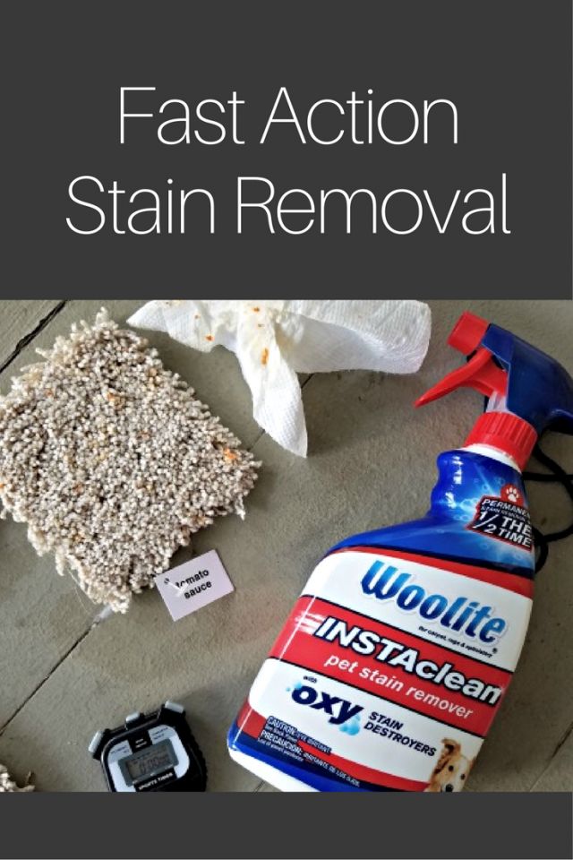 Fast Action Stain Removal with Woolite INSTAclean Stain Remover