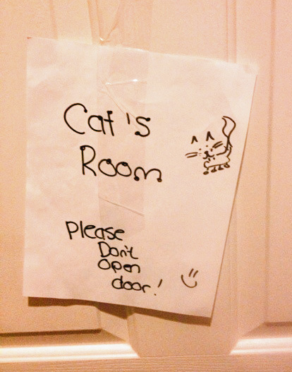 cats room sign