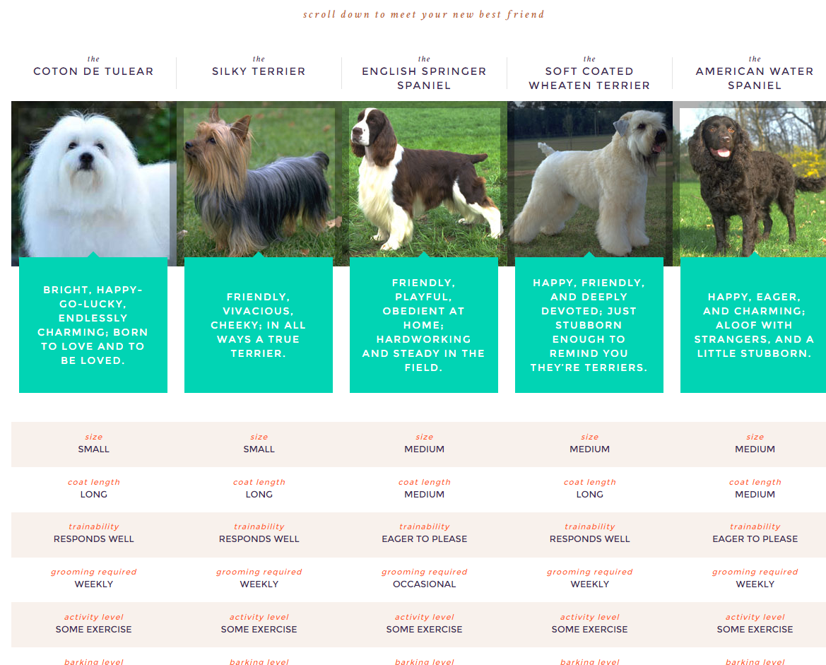 kennel club breed selector