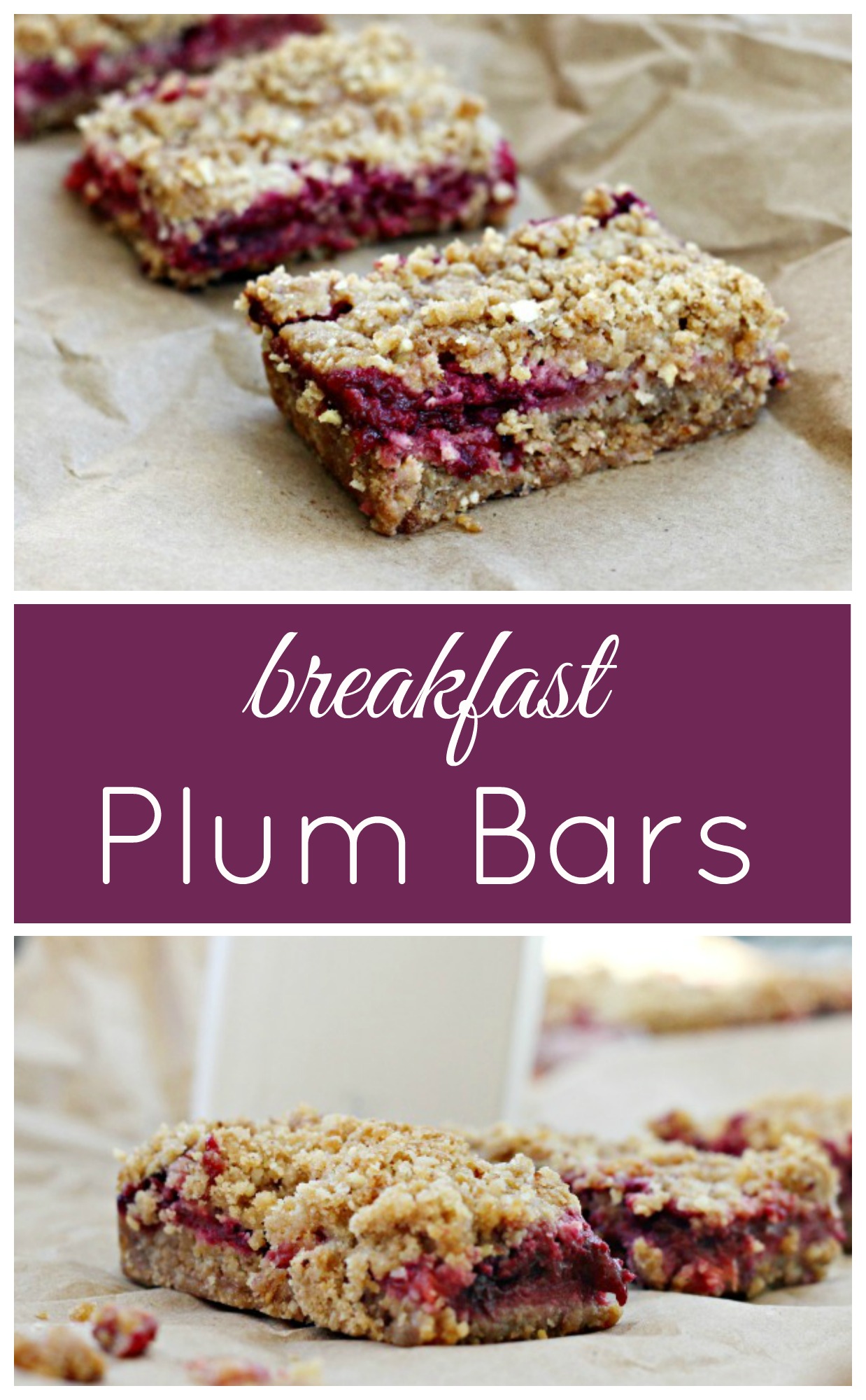 Plum Breakfast Bars Clever Housewife