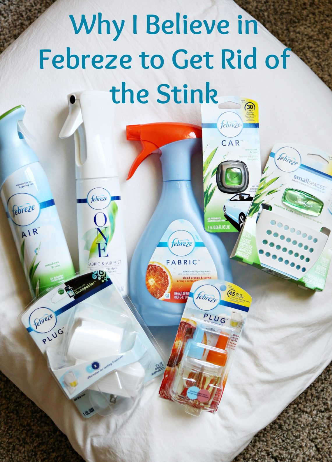 Why I Believe in Febreze to Get Rid of the Stink Clever Housewife