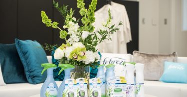 Why I Believe in Febreze to Get Rid of the Stink