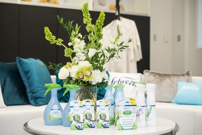 Why I Believe in Febreze to Get Rid of the Stink Clever Housewife