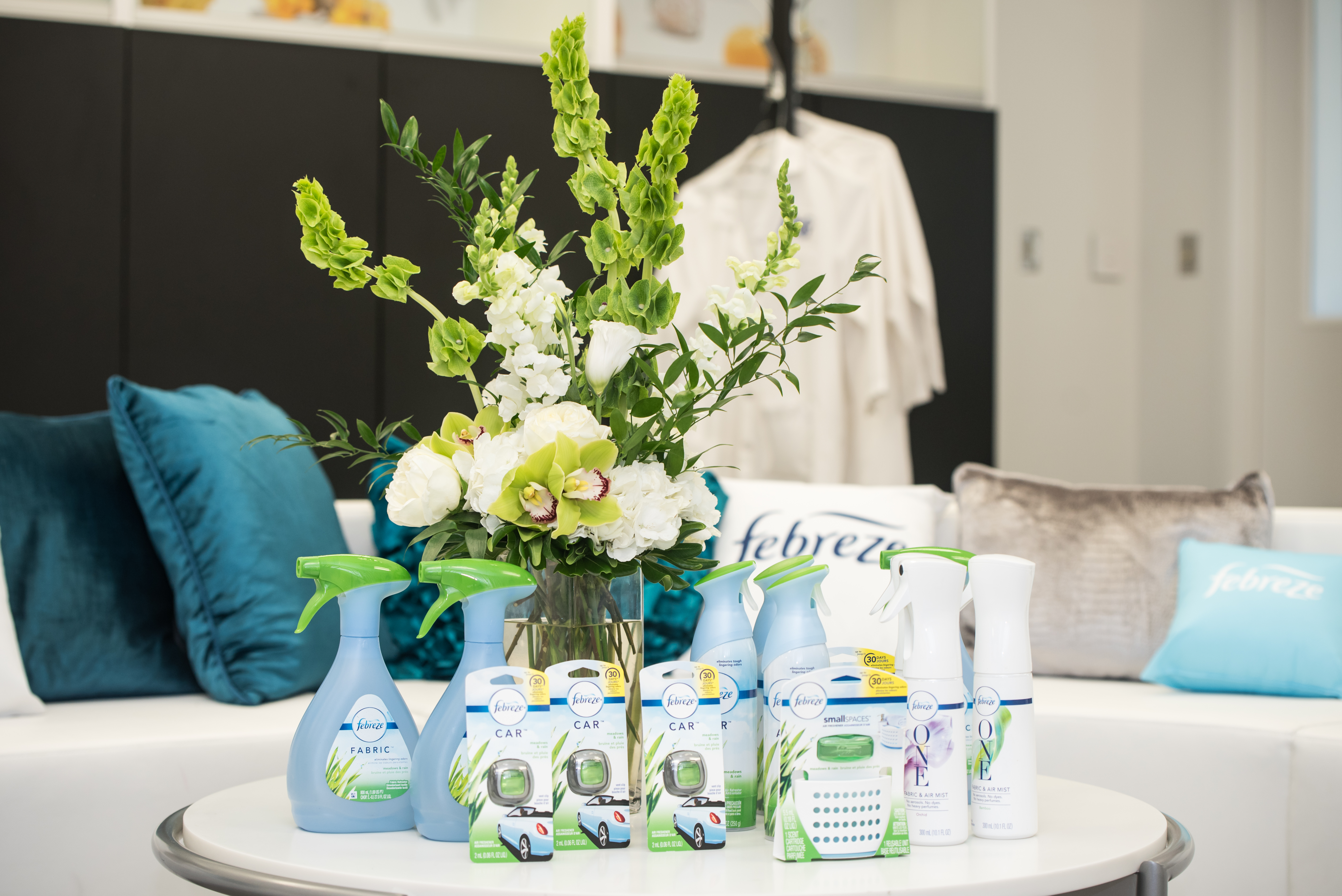 Why I Believe in Febreze to Get Rid of the Stink