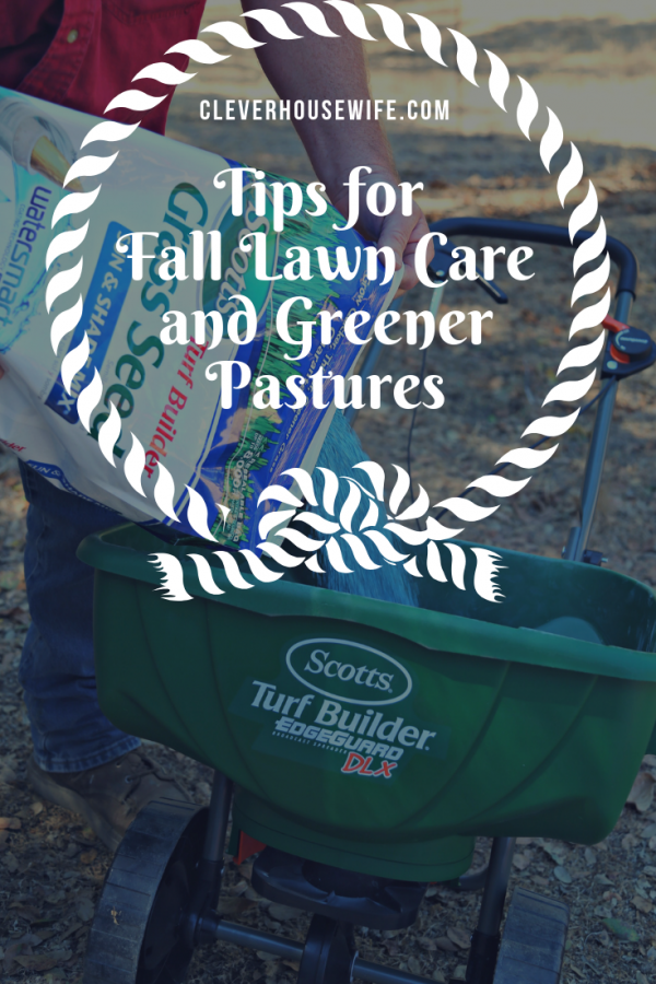 Tips for Fall Lawn Care and Greener Pastures