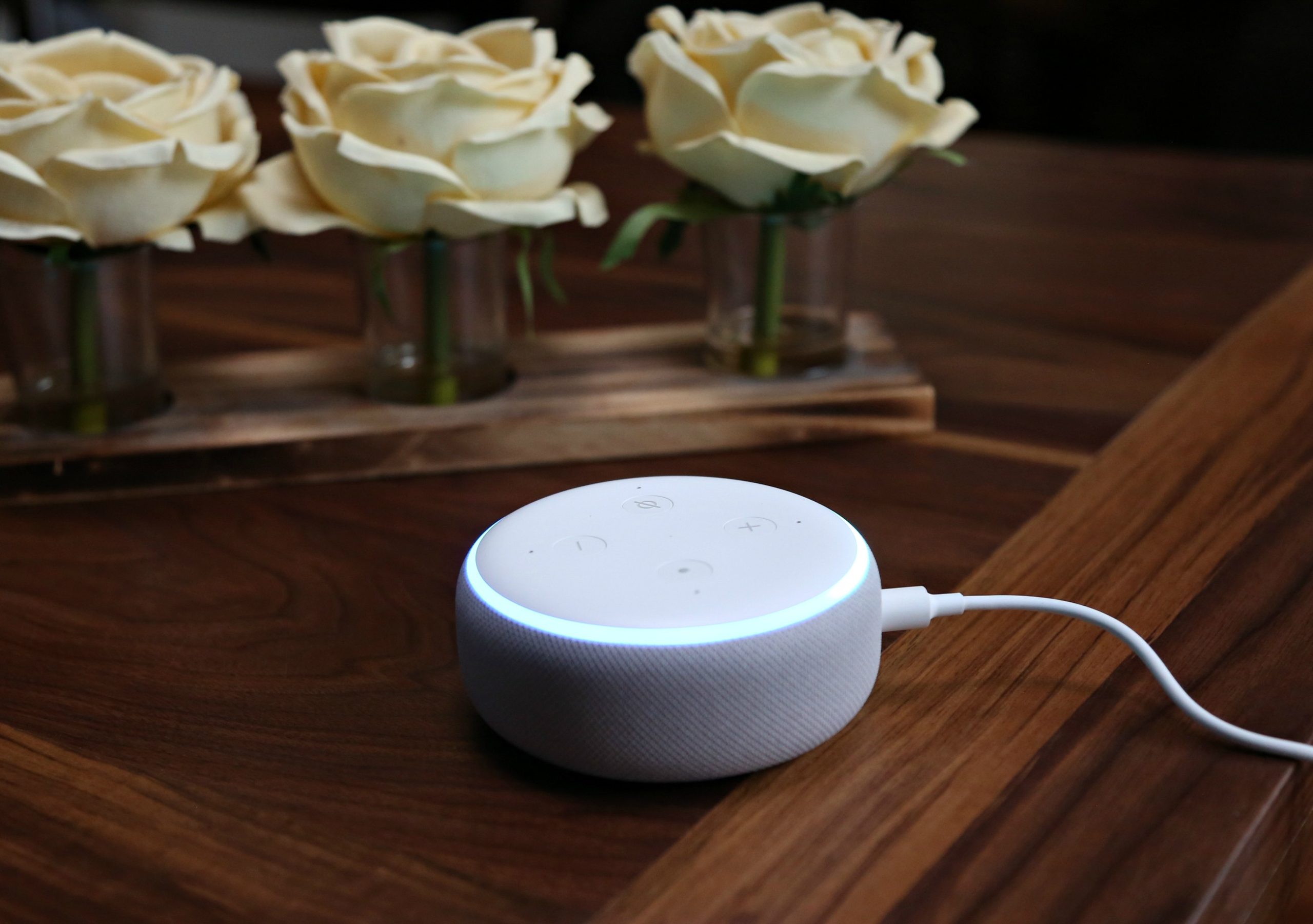 9 Reasons Every Family Needs an Amazon Echo Dot