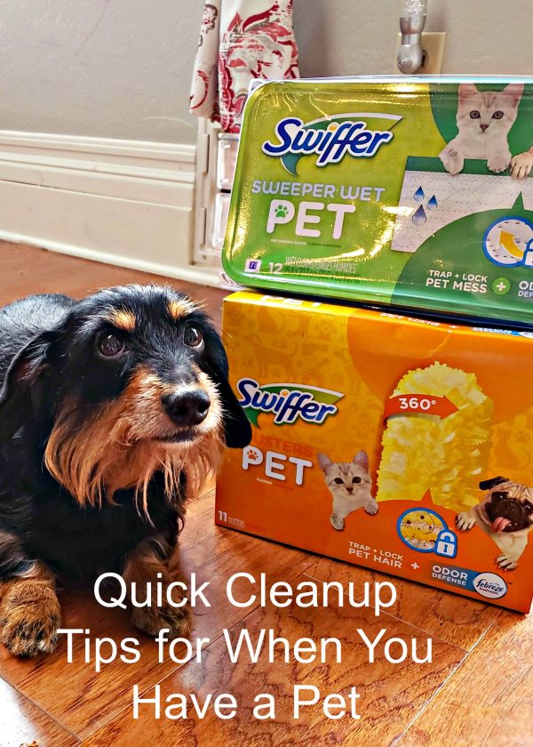Quick Cleanup Tips for When You Have a Pet