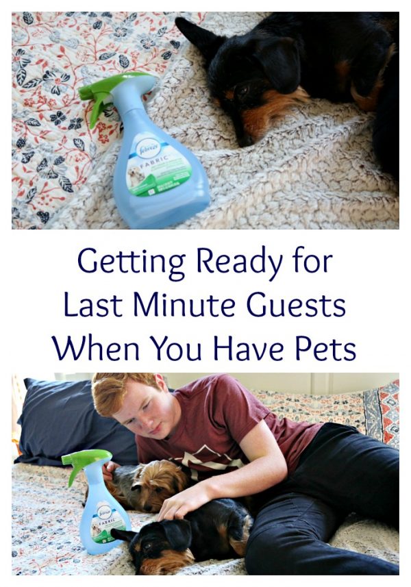 Getting Ready for Last Minute Guests When You Have Pets